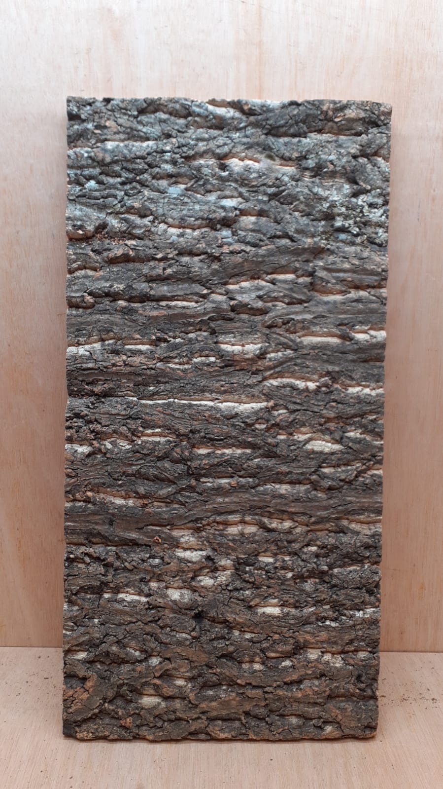 Cork Bark Background Panel 30x60cm - 4