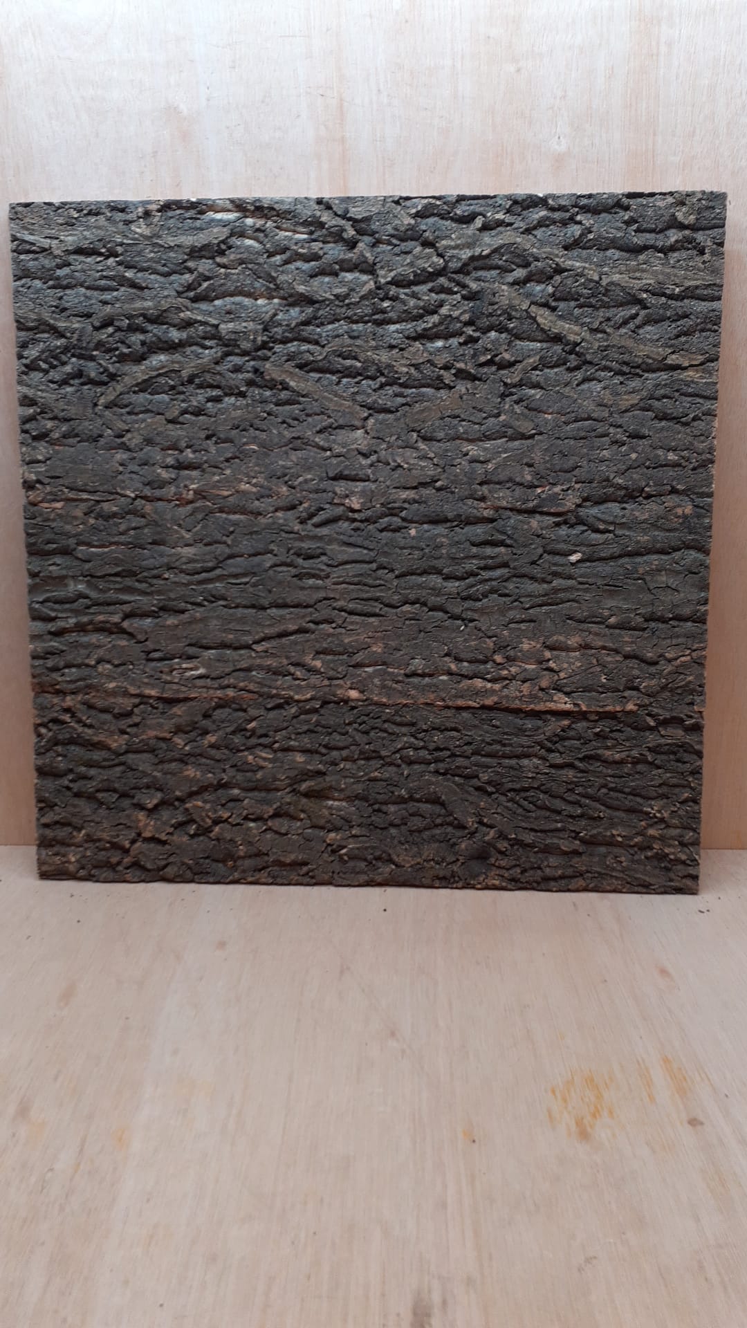 Cork Bark Background Panel 60x60cm - 4
