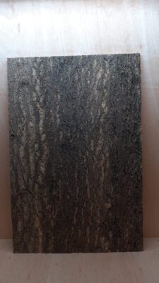 Cork Bark Background Panel 90x60cm - 5