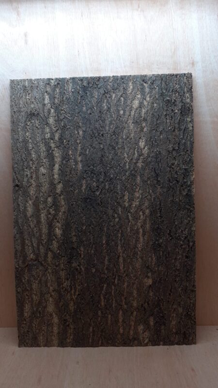 Cork Bark Background Panel 90x60cm - 5