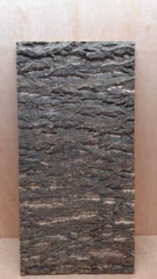 Cork Bark Background Panel 30x60cm - 5