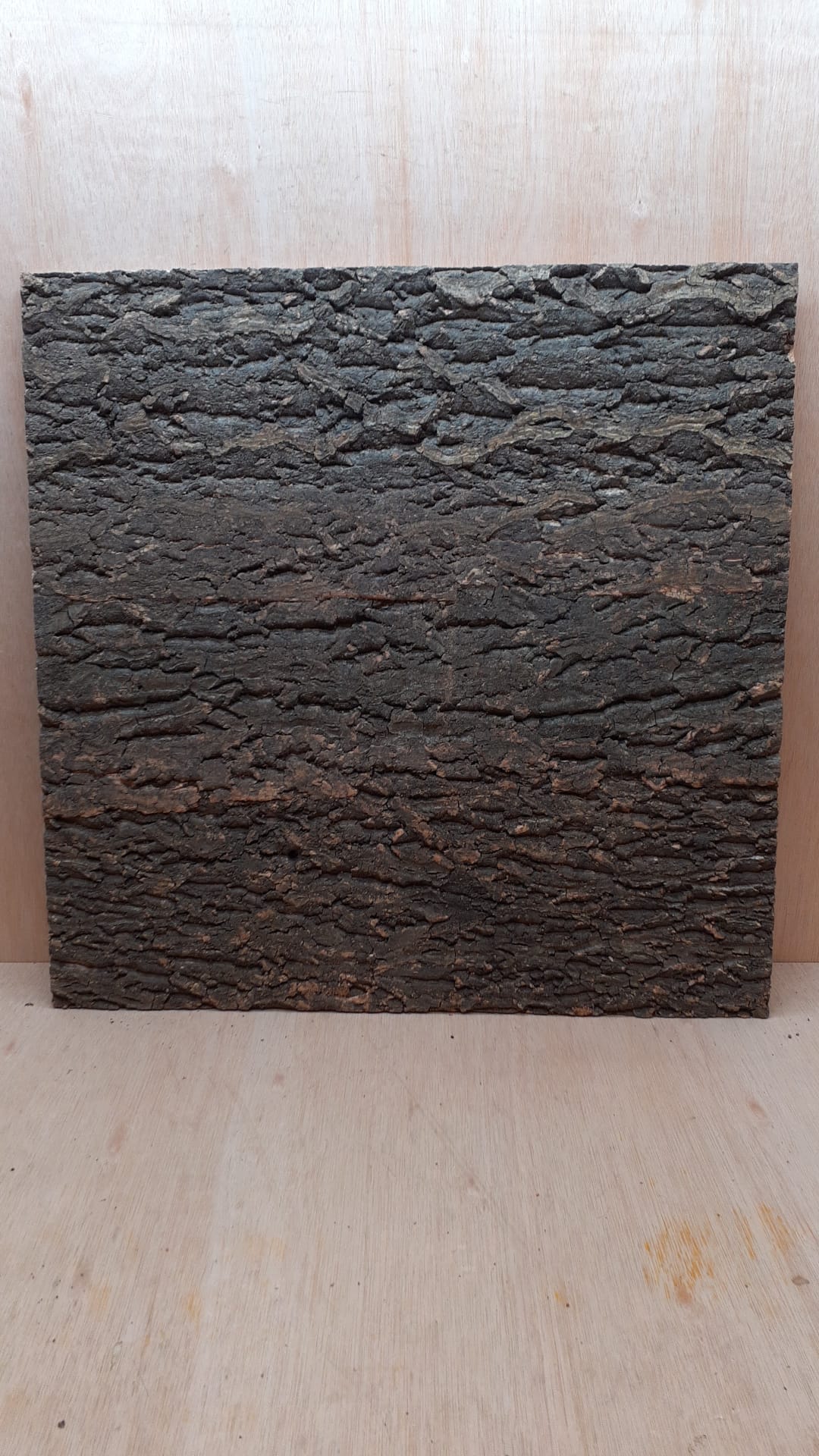 Cork Bark Background Panel 60x60cm - 5