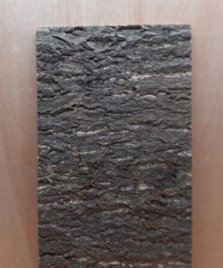 Cork Bark Background Panel 30x60cm - 6