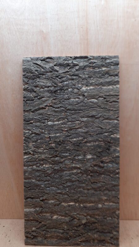 Cork Bark Background Panel 30x60cm - 6