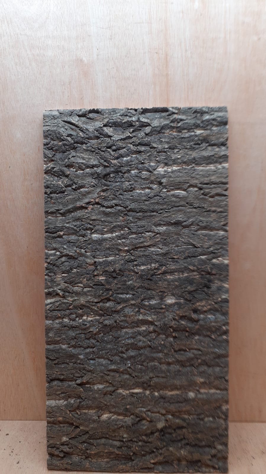 Cork Bark Background Panel 30x60cm - 6