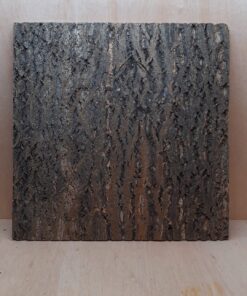 Cork Bark Background Panel 60x60cm - 6