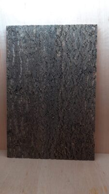 Cork Bark Background Panel 90x60cm - 7