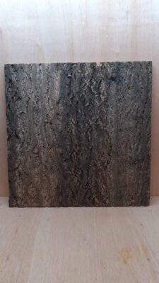 Cork Bark Background Panel 60x60cm - 7