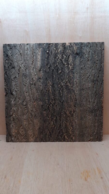 Cork Bark Background Panel 60x60cm - 7
