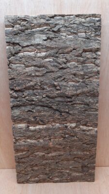 Cork Bark Background Panel 30x60cm - 8