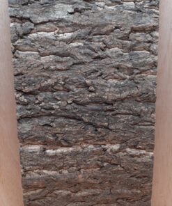 Cork Bark Background Panel 30x60cm - 8