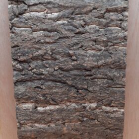 Cork Bark Background Panel 30x60cm - 8