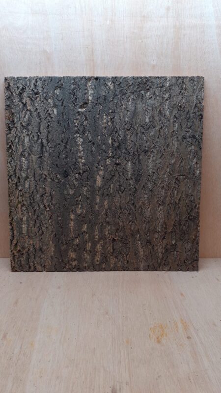 Cork Bark Background Panel 60x60cm - 8