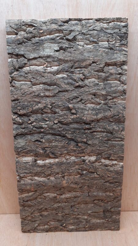 Cork Bark Background Panel 30x60cm - 8