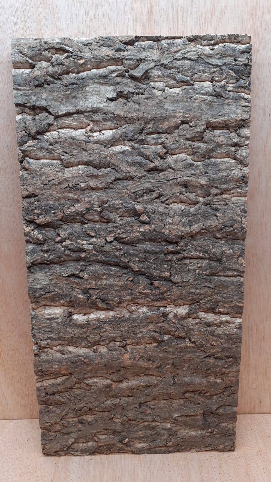 Cork Bark Background Panel 30x60cm - 8