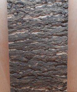 Cork Bark Background Panel 30x60cm - 9