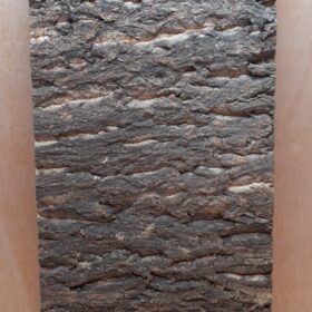 Cork Bark Background Panel 30x60cm - 9