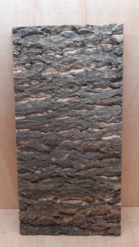 Cork Bark Background Panel 30x60cm - 9