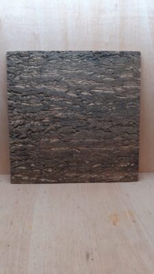 Cork Bark Background Panel 60x60cm - 9