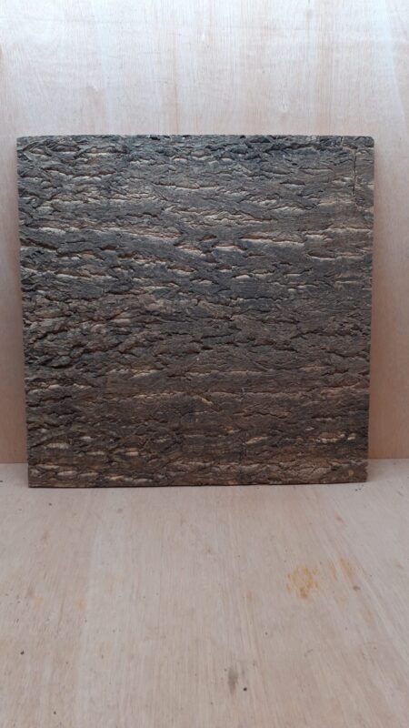 Cork Bark Background Panel 60x60cm - 9