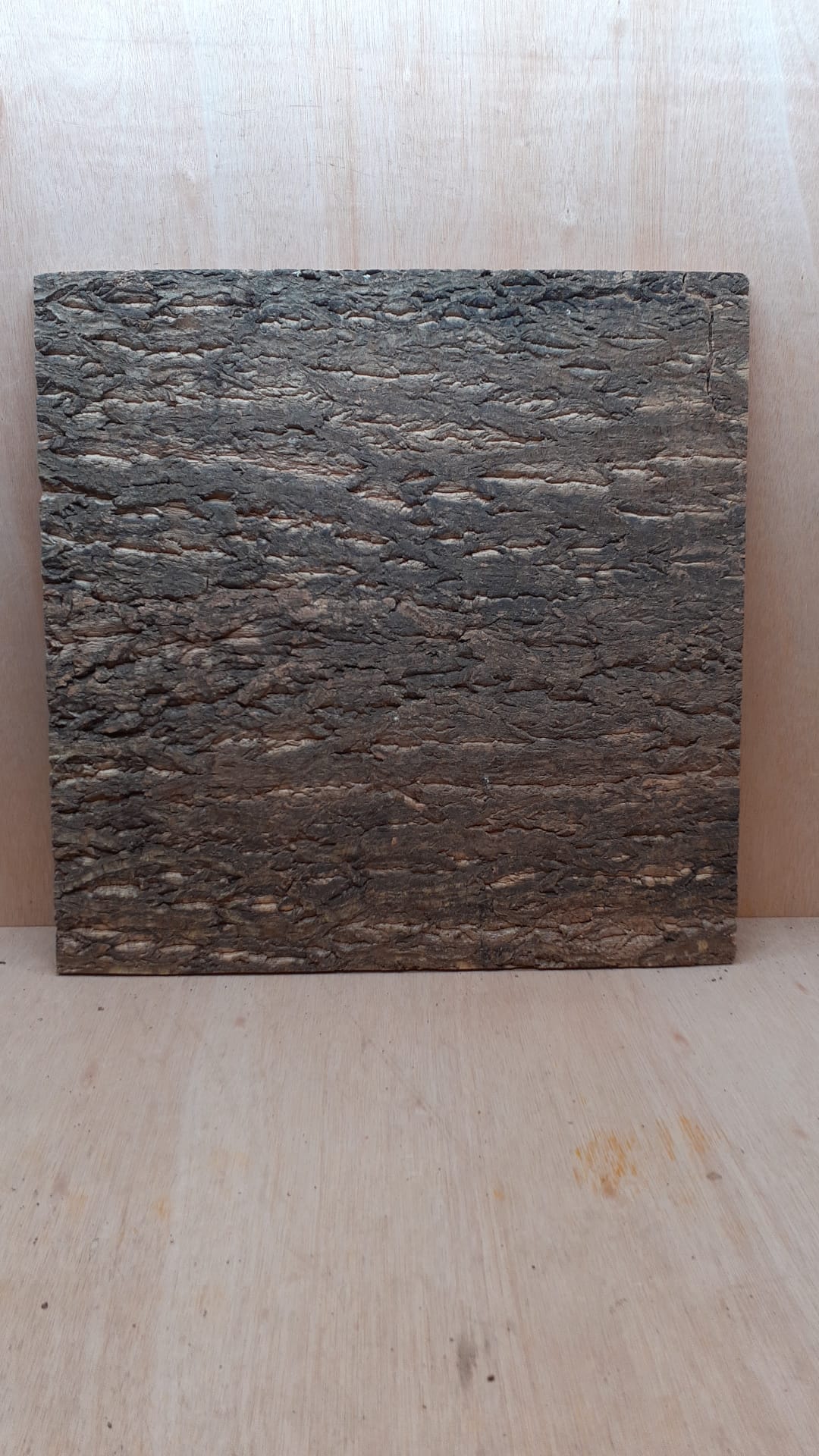 Cork Bark Background Panel 60x60cm - 9