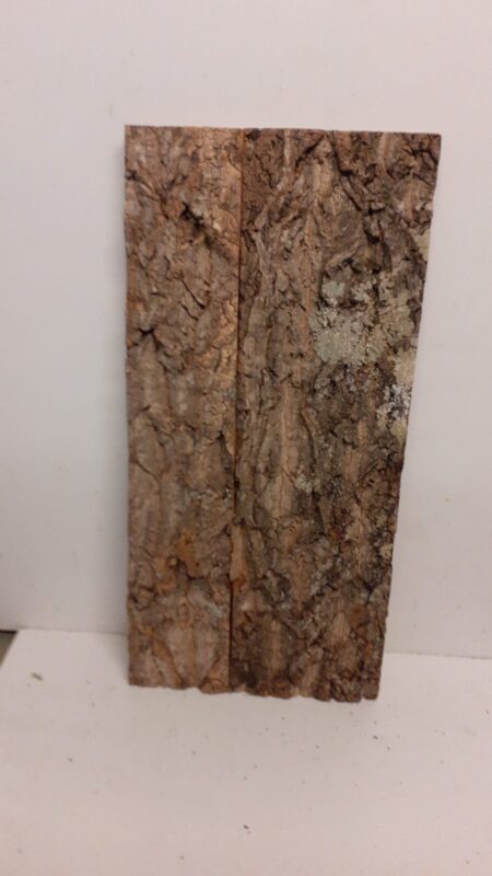 Cork Bark Background Panel 30x60cm - 1