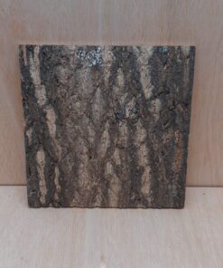 Cork Bark Background Panel 30x30cm - 4