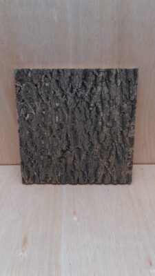 Cork Bark Background Panel 30x30cm - 5