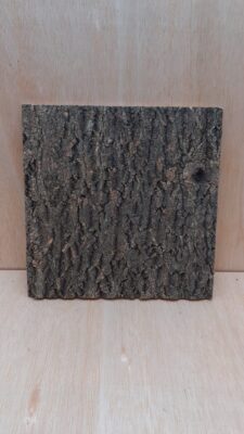 Cork Bark Background Panel 30x30cm - 6
