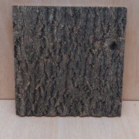 Cork Bark Background Panel 30x30cm - 6