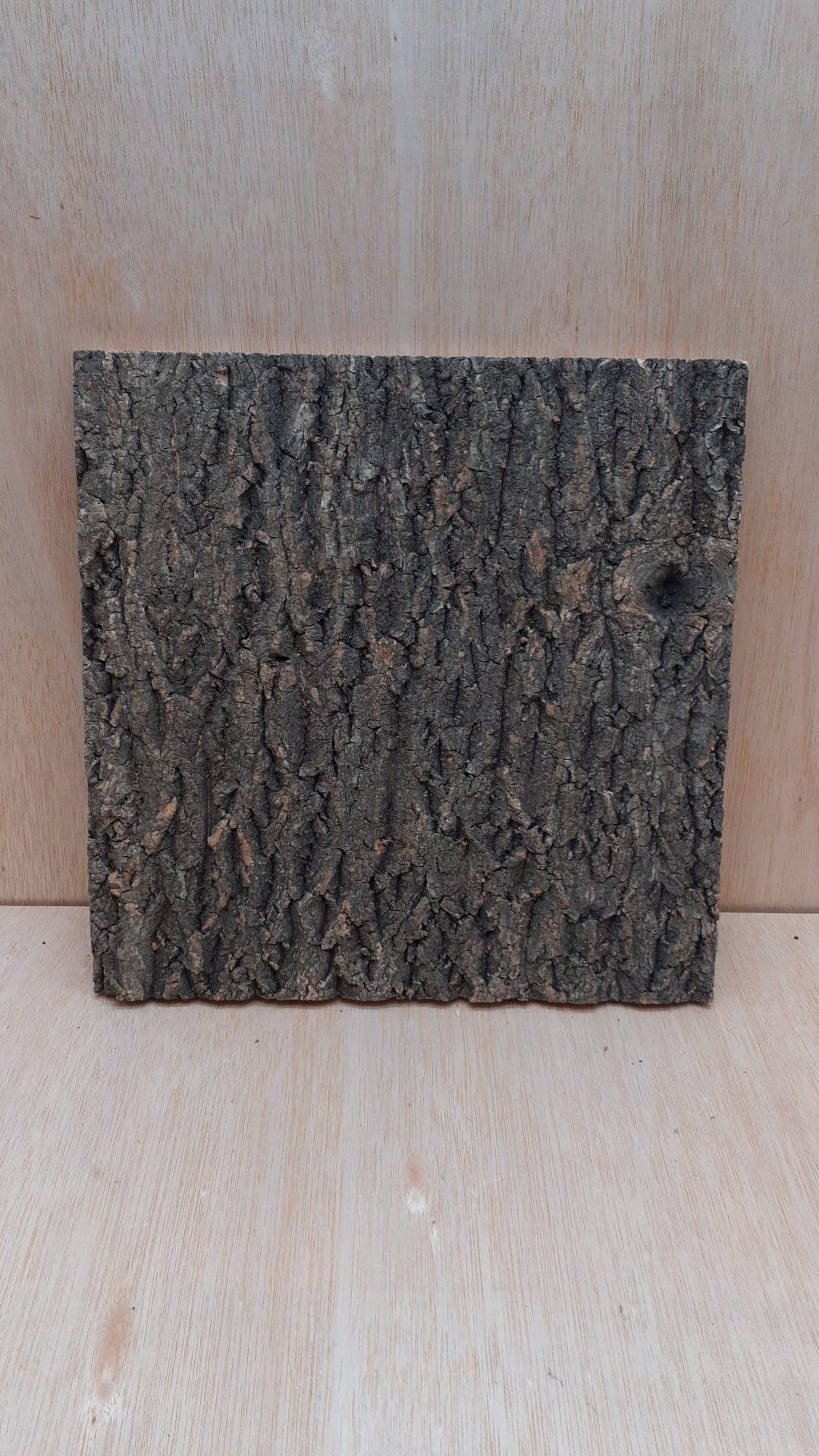 Cork Bark Background Panel 30x30cm - 6