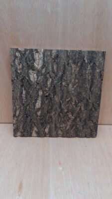 Cork Bark Background Panel 30x30cm - 7