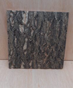 Cork Bark Background Panel 30x30cm - 7