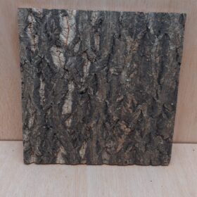 Cork Bark Background Panel 30x30cm - 7