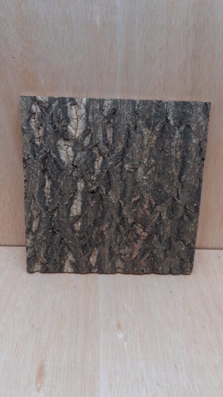 Cork Bark Background Panel 30x30cm - 7
