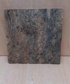 Cork Bark Background Panel 30x30cm - 8