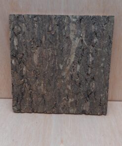 Cork Bark Background Panel 30x30cm - 9