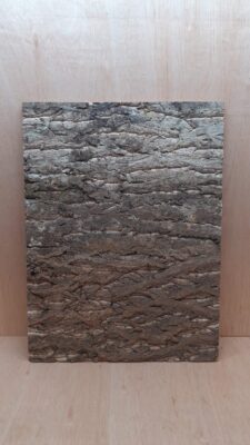 Cork Bark Background Panel 45x60cm - 4