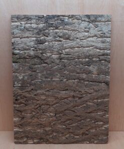 Cork Bark Background Panel 45x60cm - 4