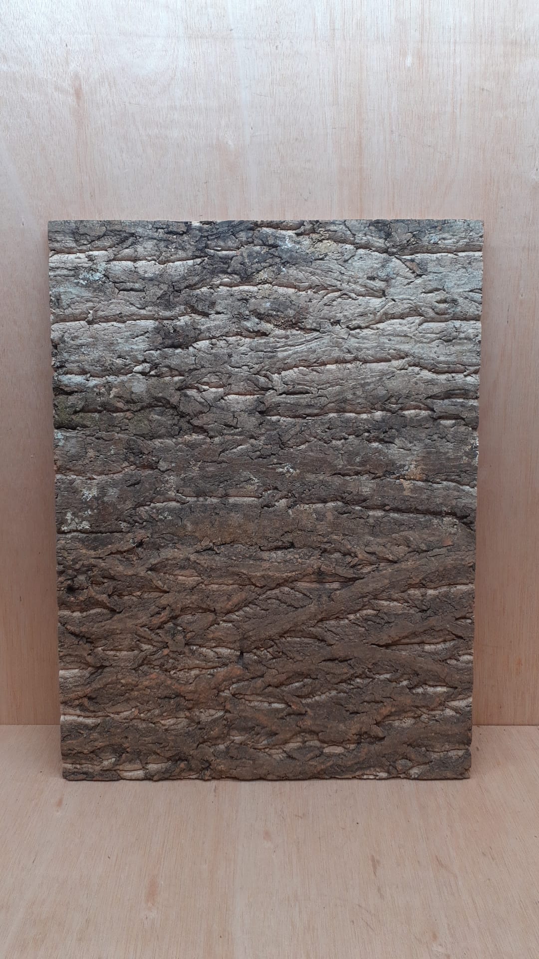 Cork Bark Background Panel 45x60cm - 4