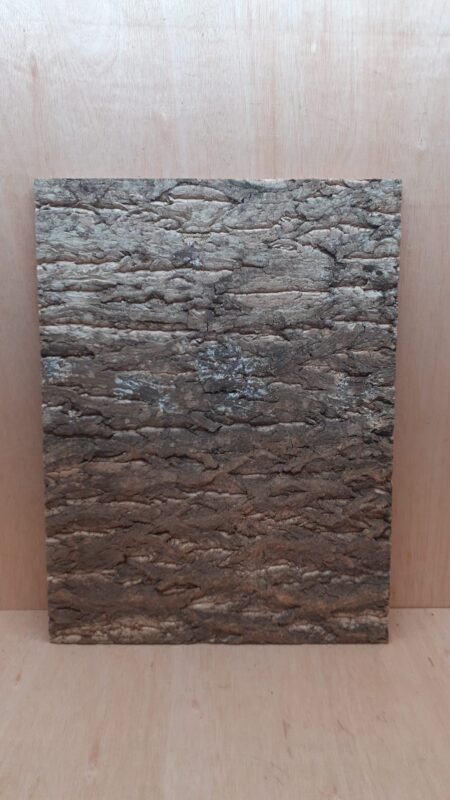 Cork Bark Background Panel 45x60cm - 5