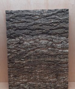 Cork Bark Background Panel 45x60cm - 8