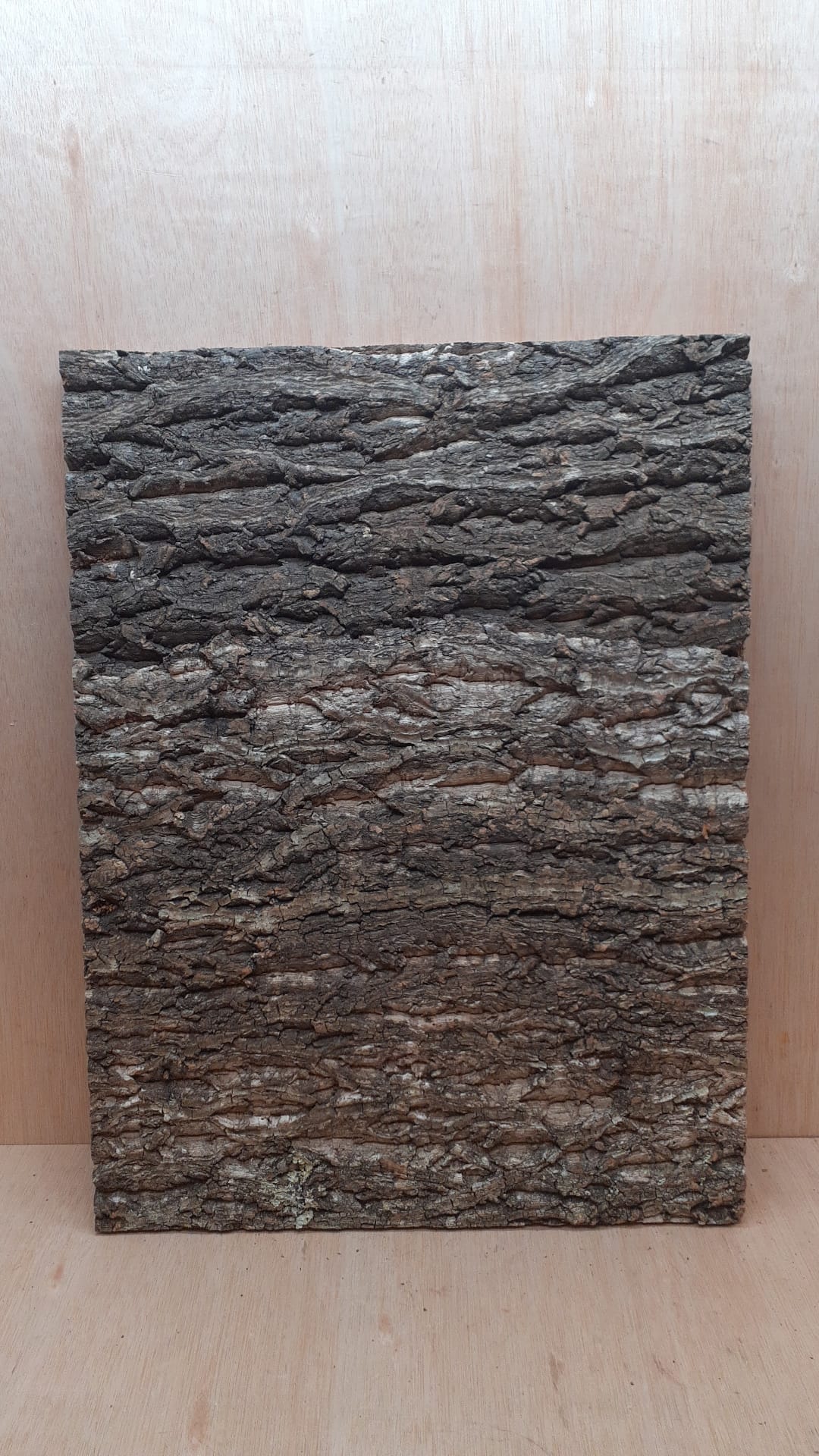 Cork Bark Background Panel 45x60cm - 8