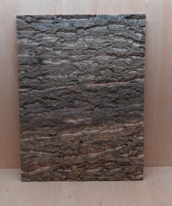 Cork Bark Background Panel 45x60cm - 1