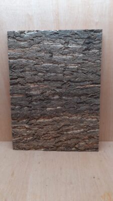 Cork Bark Background Panel 45x60cm - 2