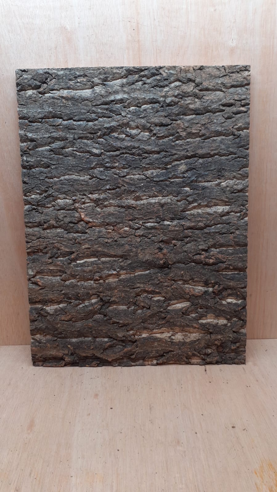 Cork Bark Background Panel 45x60cm - 7