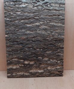 Cork Bark Background Panel 45x60cm - 3