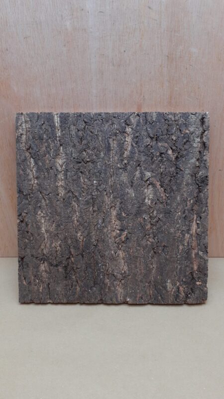 Cork Bark Background Panel 30x30cm - 2