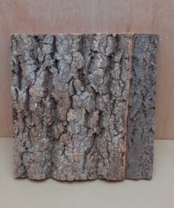 Cork Bark Background Panel 30x30cm - 10