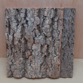 Cork Bark Background Panel 30x30cm - 10